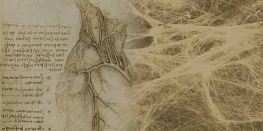 már Leonardo da Vinci is vizsgálta